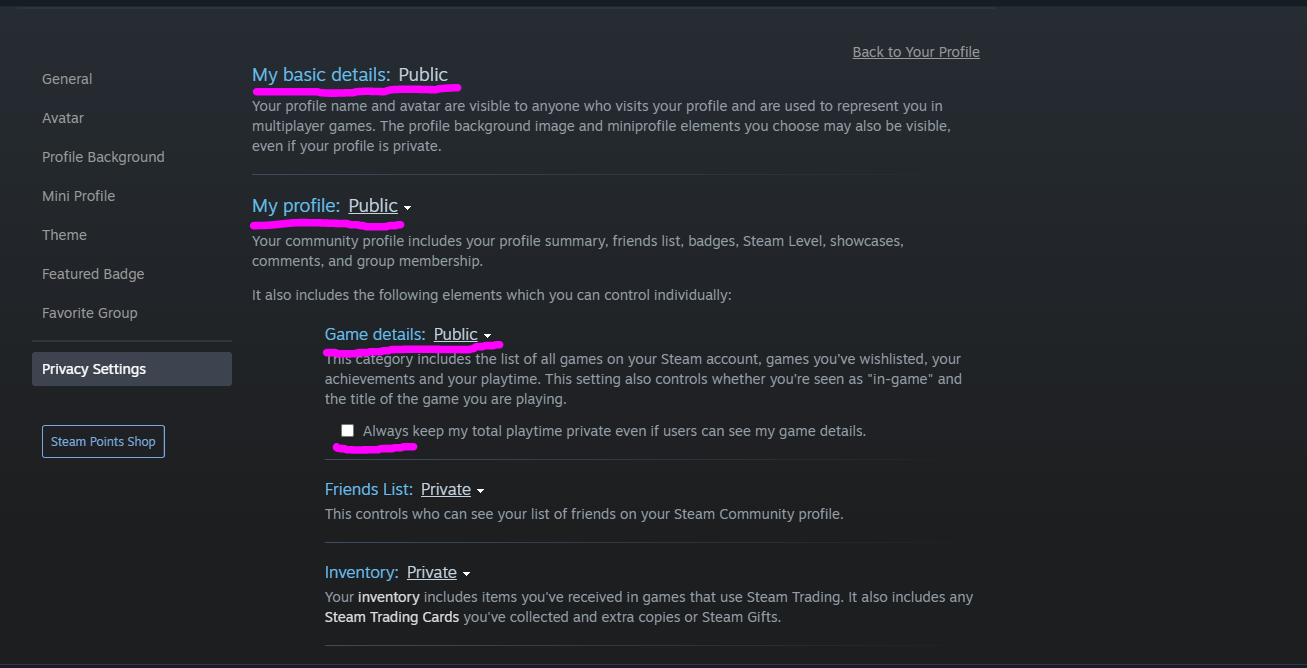 Steam Profile Settings.PNG
