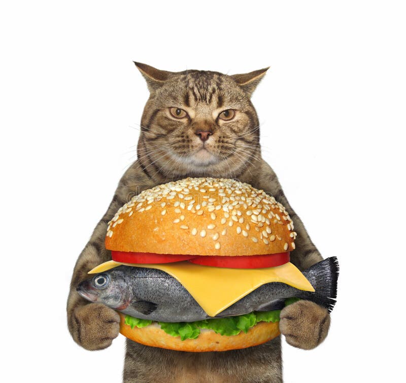 beige-cat-holding-big-fresh-fish-burger-white-background-isolated-cat-holding-fresh-fish-burger-182231720.jpg